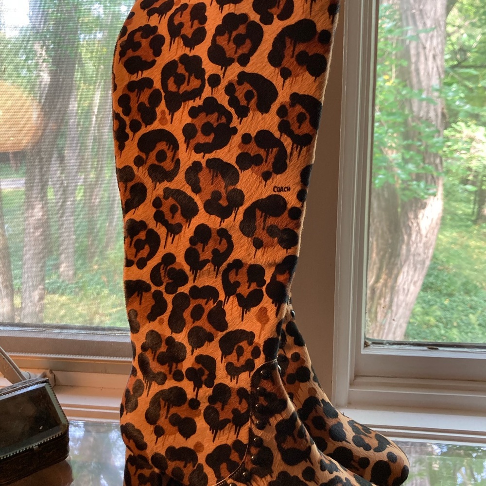 Coach knee high boot - Picture 3 of 14